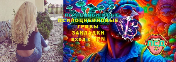 эйфоретик Алексин