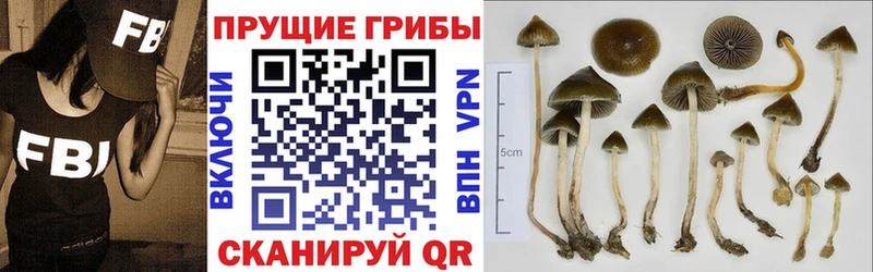 Галлюциногенные грибы ЛСД  Ермолино 